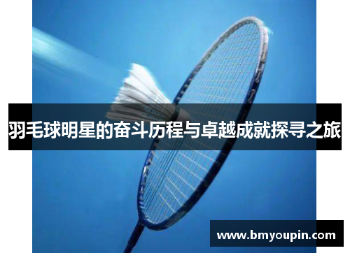 羽毛球明星的奋斗历程与卓越成就探寻之旅